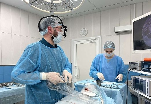 Фото сеплопластика