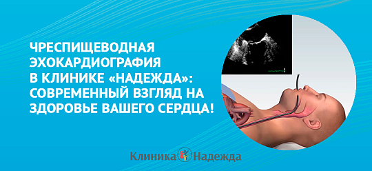 ЧПЭХО-КГ в клинике "Надежда": современный подход к диагностике сердечно-сосудистых заболеваний!